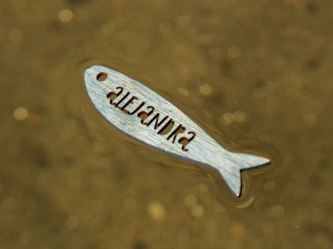 Etiqueta sardina - gris azulado - ALEJANDRA