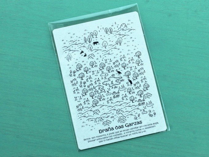 Postcard - Plain of the Wandering Lights