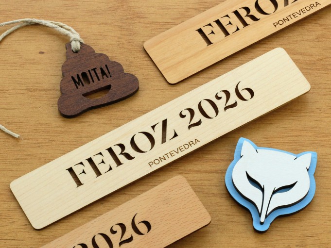 Marcapáginas Graciela arce - FEROZ 2026